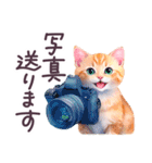 夏 でか文字 水彩ねこ 日常 毎日使える（個別スタンプ：34）