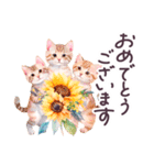 夏 でか文字 水彩ねこ 日常 毎日使える（個別スタンプ：37）