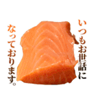 敬語サーモン（個別スタンプ：3）