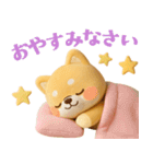 [3D]使える❤️いやしばいぬ❤️柴犬/敬語（個別スタンプ：17）