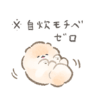 ぽぽちのごはんスタンプ〜手抜き編〜（個別スタンプ：4）