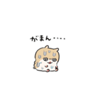 夏だ！クソハム＆コビハムちゃん（個別スタンプ：17）
