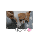 私の毎日の挨拶①（個別スタンプ：2）