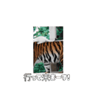 私の毎日の挨拶①（個別スタンプ：3）