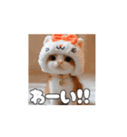 私の毎日の挨拶①（個別スタンプ：15）