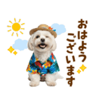 ゆるっとサマー♪マルチーズスタンプ（個別スタンプ：1）
