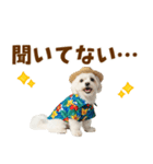 ゆるっとサマー♪マルチーズスタンプ（個別スタンプ：7）