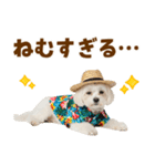 ゆるっとサマー♪マルチーズスタンプ（個別スタンプ：9）