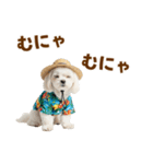 ゆるっとサマー♪マルチーズスタンプ（個別スタンプ：18）