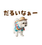 ゆるっとサマー♪マルチーズスタンプ（個別スタンプ：25）