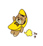アスティルホテル クマ バナナ 第9弾（個別スタンプ：15）