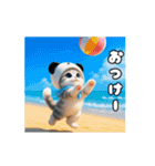 動く！パンダ帽ネコ 可愛い思いやり（個別スタンプ：5）