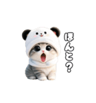 動く！パンダ帽ネコ 可愛い思いやり（個別スタンプ：6）