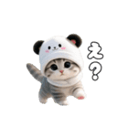 動く！パンダ帽ネコ 可愛い思いやり（個別スタンプ：16）