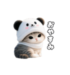 動く！パンダ帽ネコ 可愛い思いやり（個別スタンプ：24）