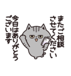 ニャンズのかなり使える【感謝】（個別スタンプ：24）