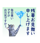 暑中見舞い♡夏のご挨拶♡候文（個別スタンプ：20）