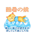 暑中見舞い♡夏のご挨拶♡候文（個別スタンプ：28）