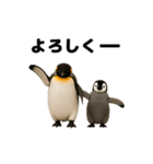 動く！ペンギン親子（個別スタンプ：5）