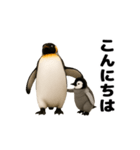動く！ペンギン親子（個別スタンプ：7）