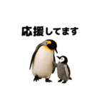 動く！ペンギン親子（個別スタンプ：11）