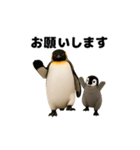 動く！ペンギン親子（個別スタンプ：14）