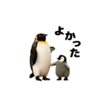 動く！ペンギン親子（個別スタンプ：19）