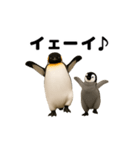 動く！ペンギン親子（個別スタンプ：22）