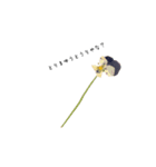 Flower＆AORI（有料）（個別スタンプ：4）