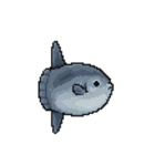 海洋生物たちのドット絵（個別スタンプ：11）