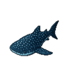 海洋生物たちのドット絵（個別スタンプ：21）