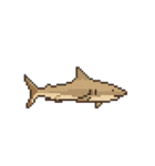 海洋生物たちのドット絵（個別スタンプ：40）