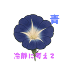 アサガオことば（個別スタンプ：1）