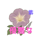アサガオことば（個別スタンプ：4）