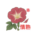 アサガオことば（個別スタンプ：8）