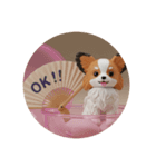 わんわんパピヨンカプセルトイ（個別スタンプ：3）