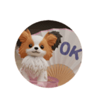 わんわんパピヨンカプセルトイ（個別スタンプ：5）