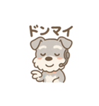 ぺちゃシュナのぺちゃくちゃトーク（個別スタンプ：17）
