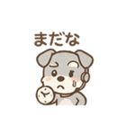 ぺちゃシュナのぺちゃくちゃトーク（個別スタンプ：37）