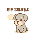 なぐさめシュナ 〜やさしく寄り添う毎日〜（個別スタンプ：7）