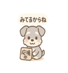 なぐさめシュナ 〜やさしく寄り添う毎日〜（個別スタンプ：37）