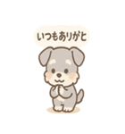なぐさめシュナ 〜やさしく寄り添う毎日〜（個別スタンプ：40）
