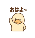 だるカモのカモ太くん（個別スタンプ：1）
