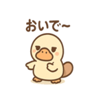 だるカモのカモ太くん（個別スタンプ：6）
