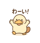 だるカモのカモ太くん（個別スタンプ：16）