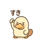 だるカモのカモ太くん（個別スタンプ：19）