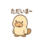だるカモのカモ太くん（個別スタンプ：24）