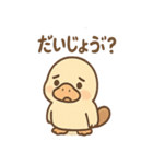 だるカモのカモ太くん（個別スタンプ：25）