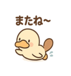 だるカモのカモ太くん（個別スタンプ：40）