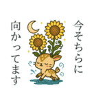 ねっ娘②【夏】…………….（個別スタンプ：13）